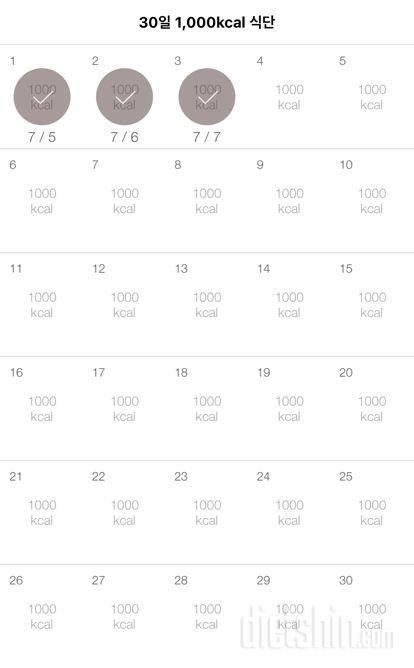 30일 1,000kcal 식단 33일차 성공!