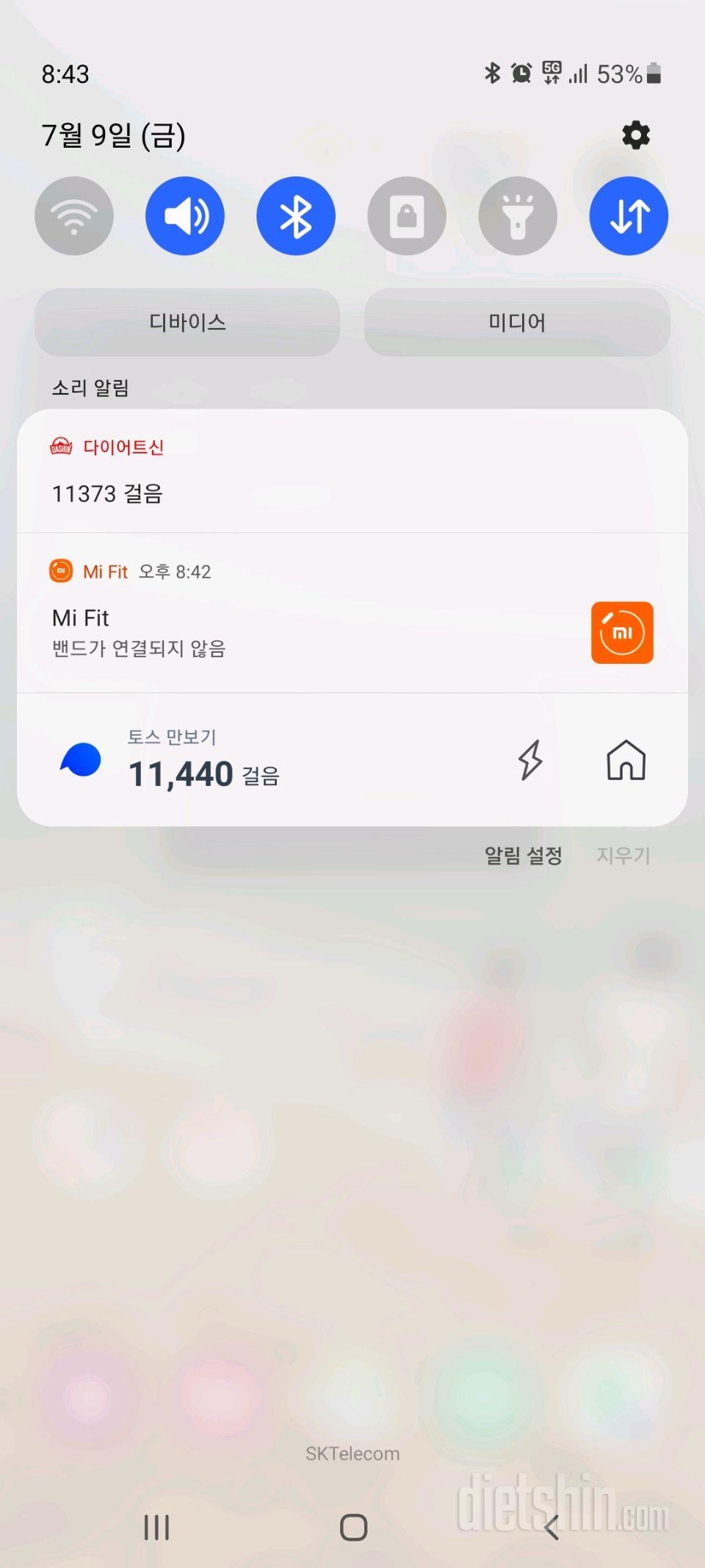 30일 만보 걷기 79일차 성공!