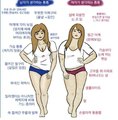 남자들이생각하는통통, 여자들이생각하는통통