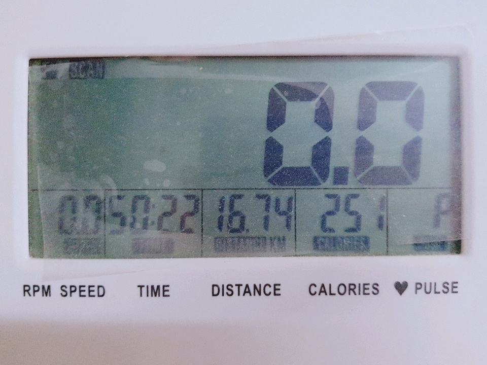 07월 16일( 운동 251kcal)