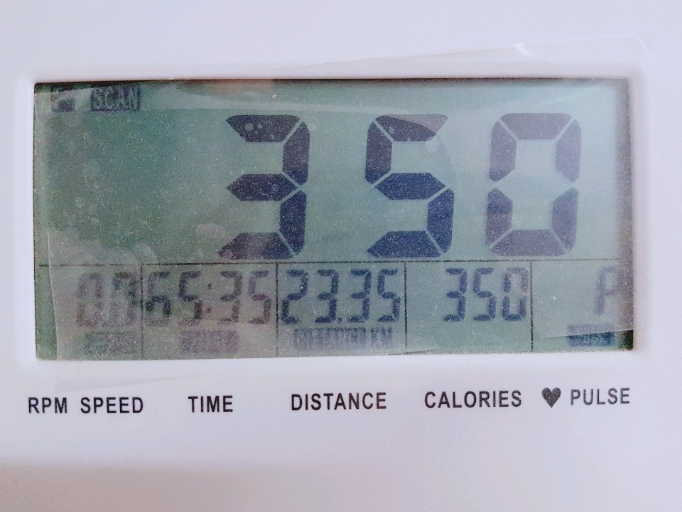 07월 18일( 운동 350kcal)