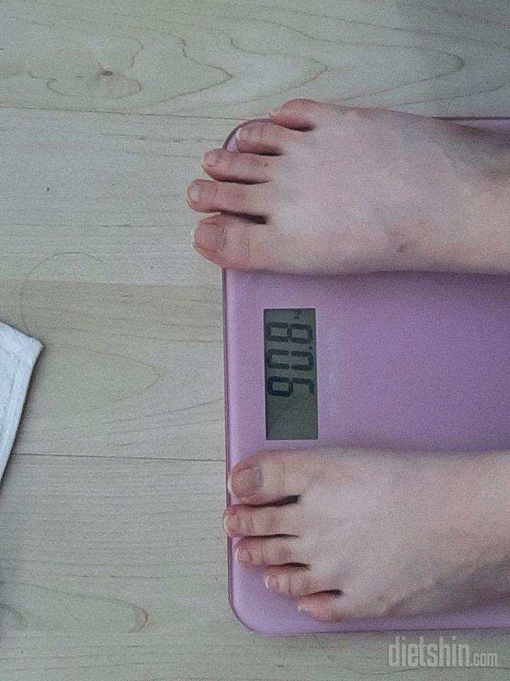 07월 23일( 점심식사 590kcal)