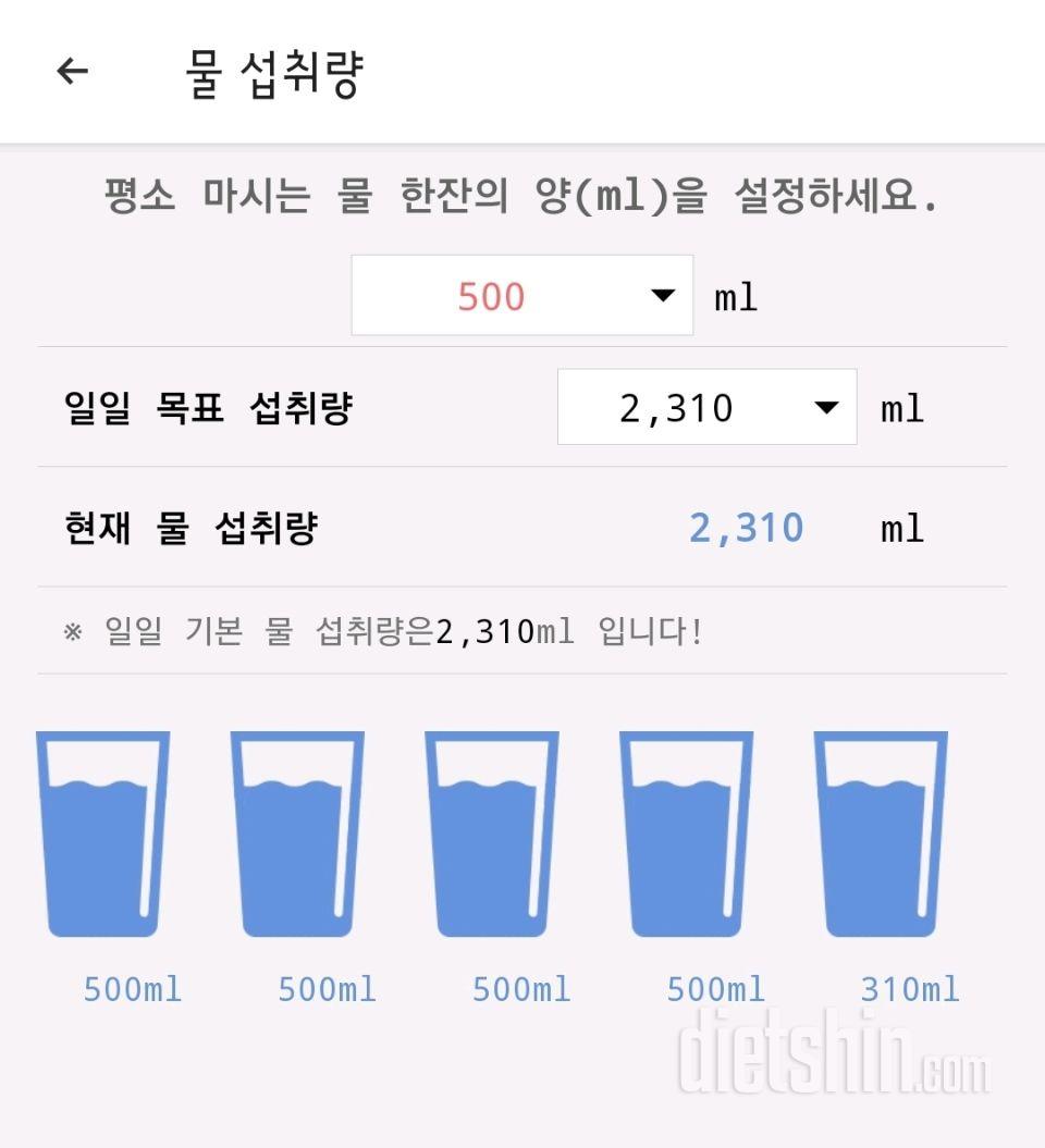 30일 하루 2L 물마시기 5일차 성공!