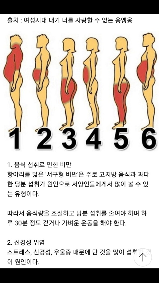 살이 찌는 부위별 원인