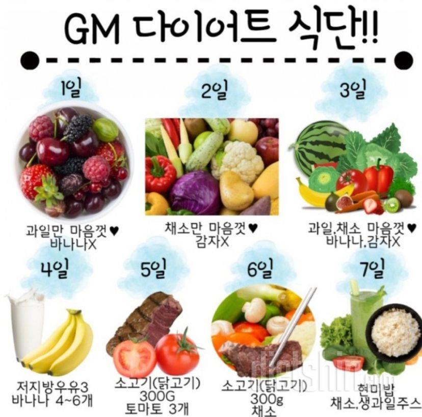 GM다이어트