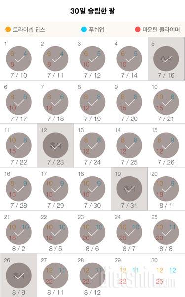 30일 슬림한 팔 28일차 성공!