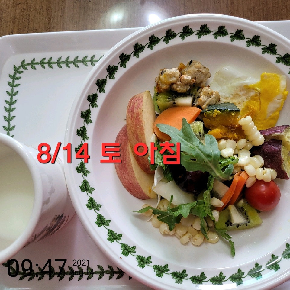 08월 14일( 아침식사 330kcal)