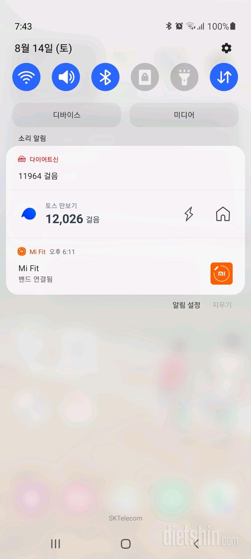 30일 만보 걷기 112일차 성공!