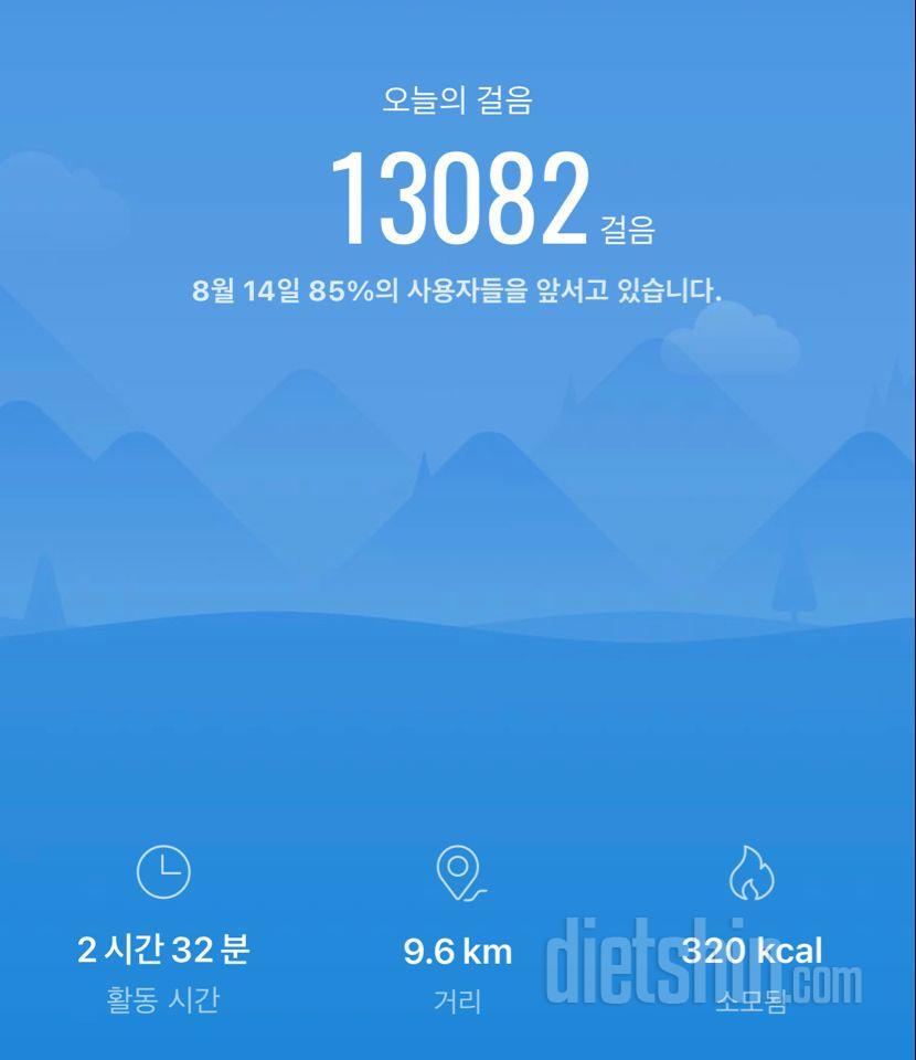 30일 만보 걷기 10일차 성공!