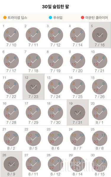 30일 슬림한 팔 30일차 성공!