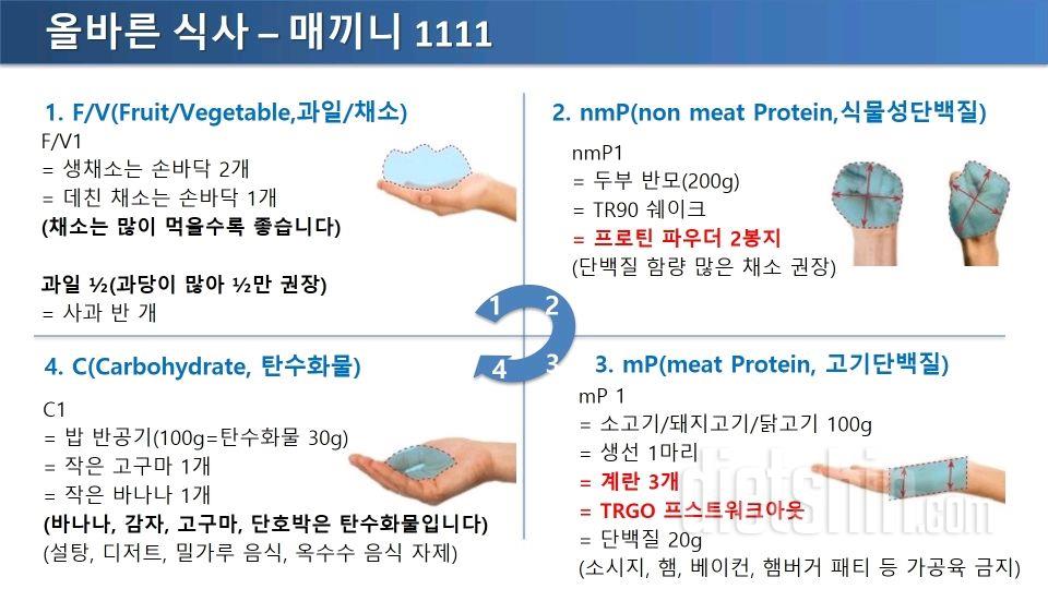 식단으로 근육량 늘릴 수 있나요??