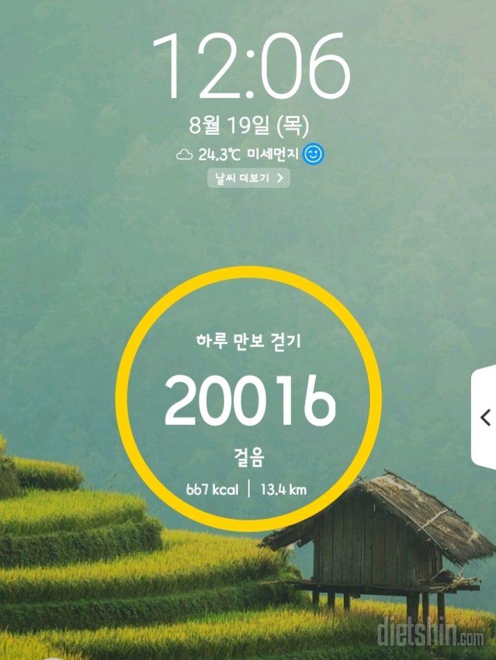 30일 만보 걷기 12일차 성공!