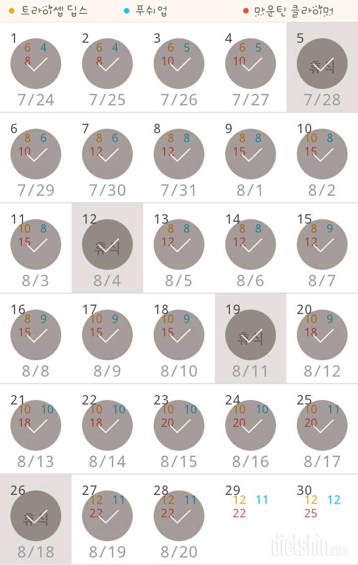 30일 슬림한 팔 28일차 성공!