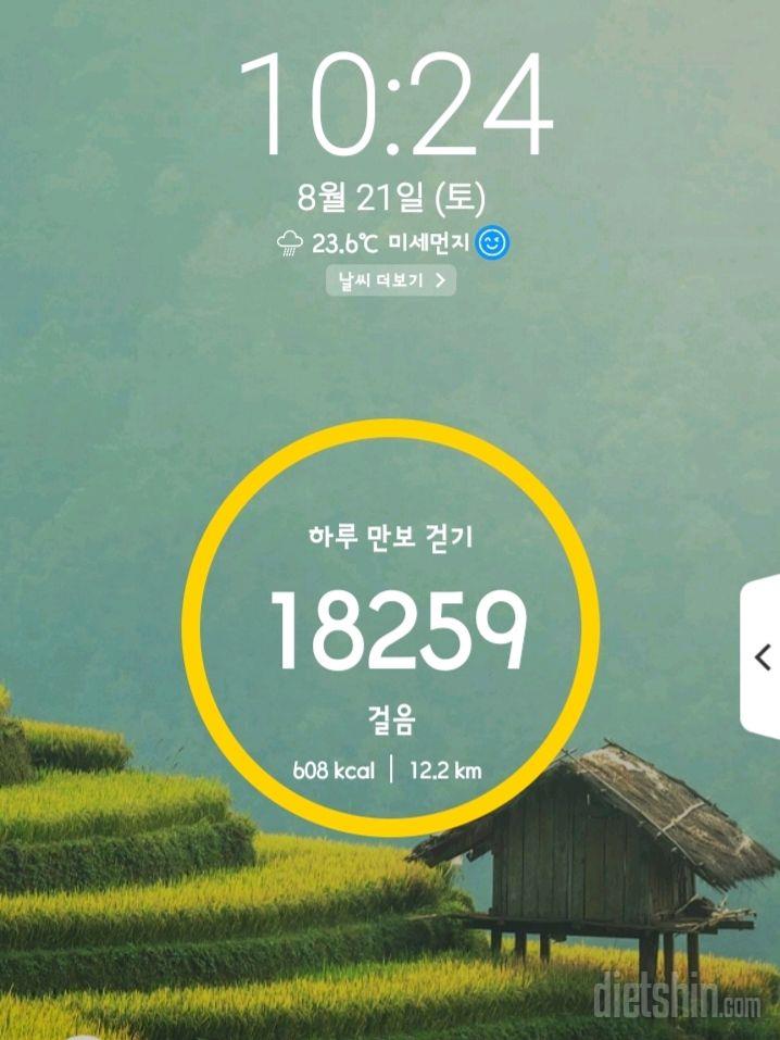 30일 만보 걷기 14일차 성공!