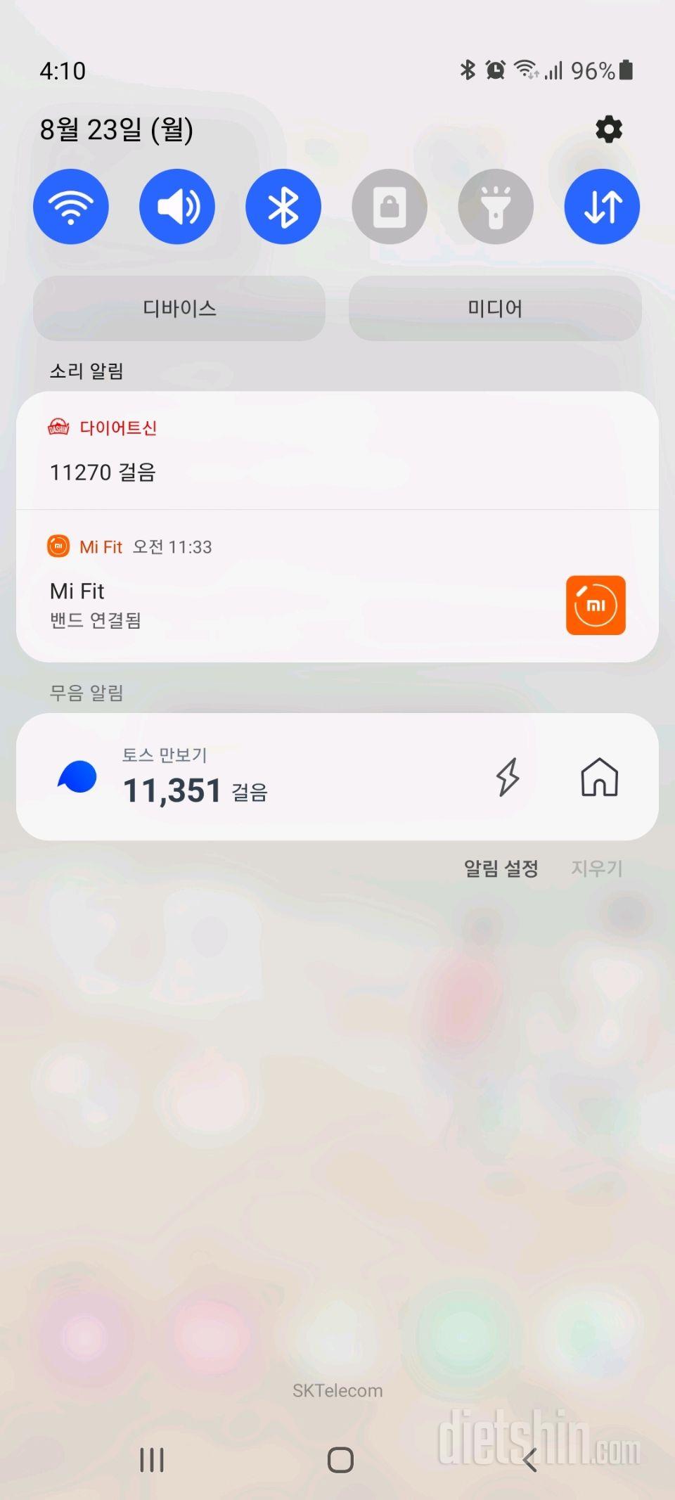 30일 만보 걷기 121일차 성공!