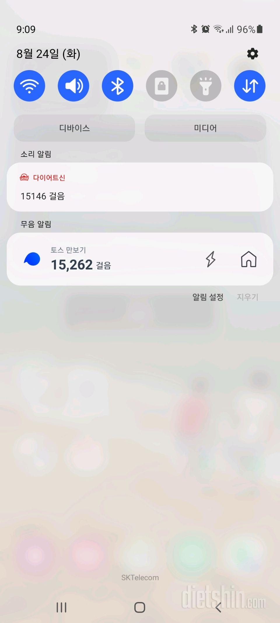 30일 만보 걷기 122일차 성공!