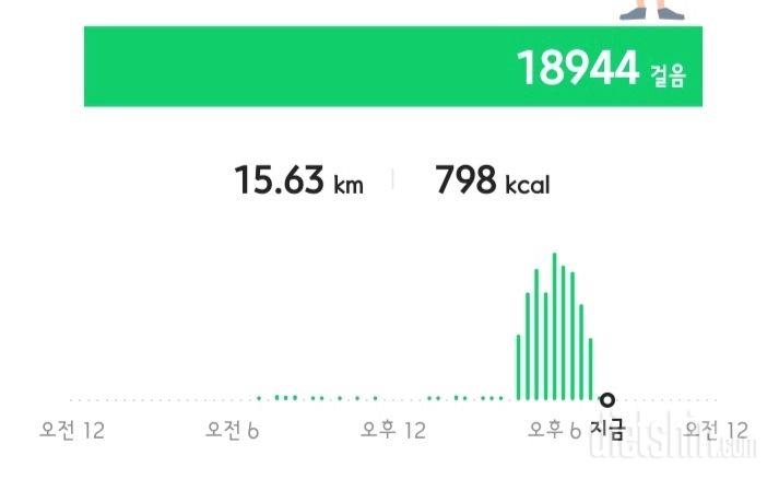 30일 만보 걷기 15일차 성공!