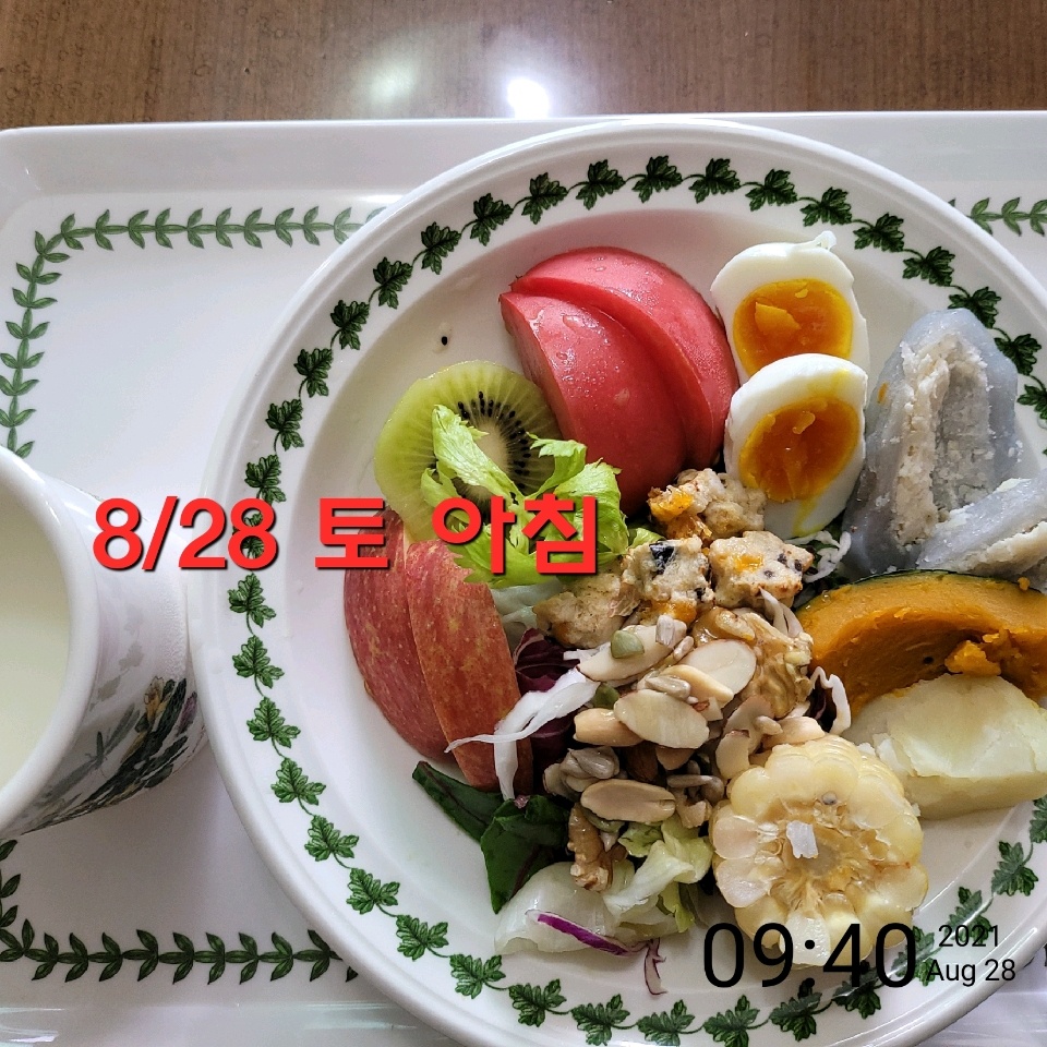 08월 28일( 아침식사 381kcal)