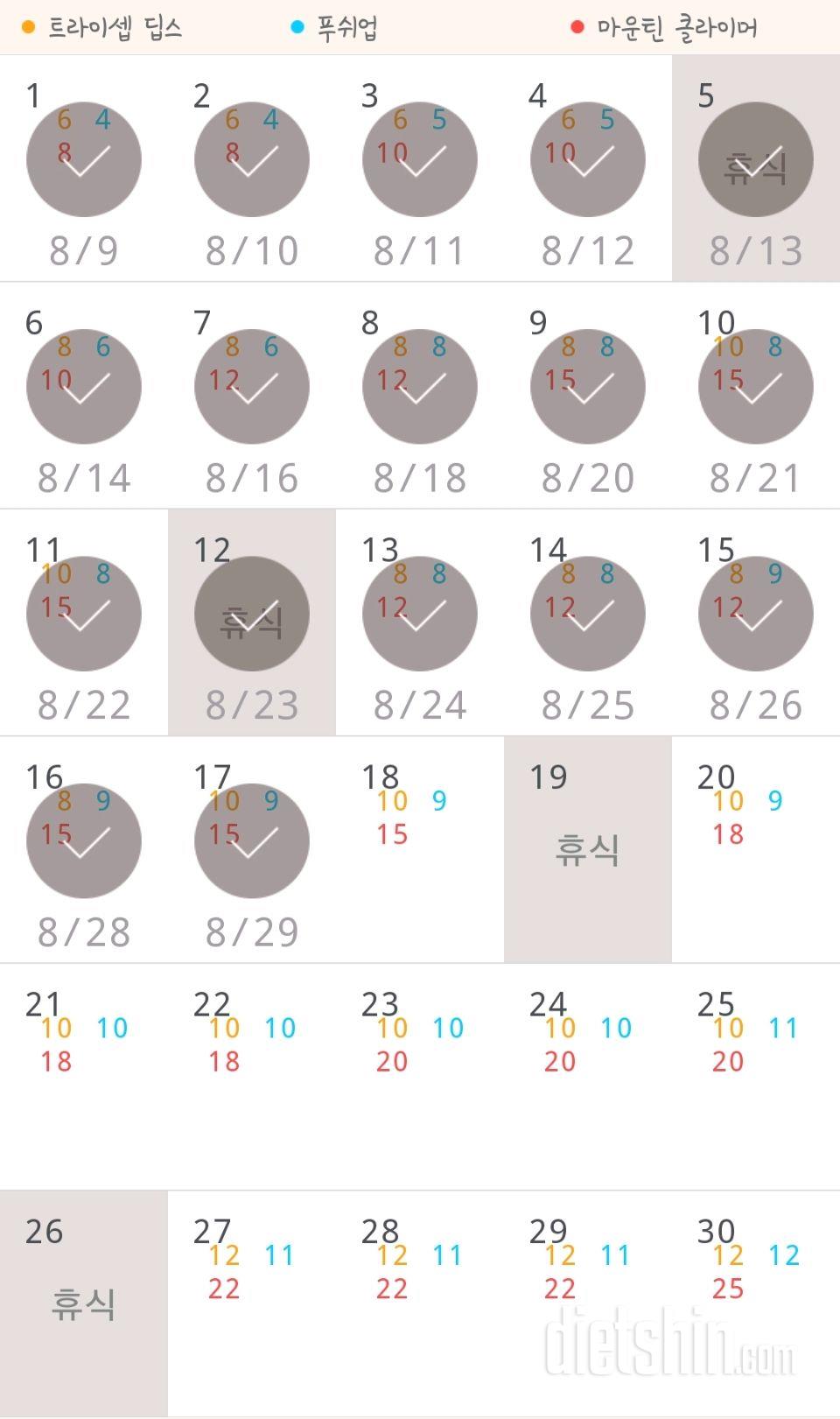 30일 슬림한 팔 17일차 성공!