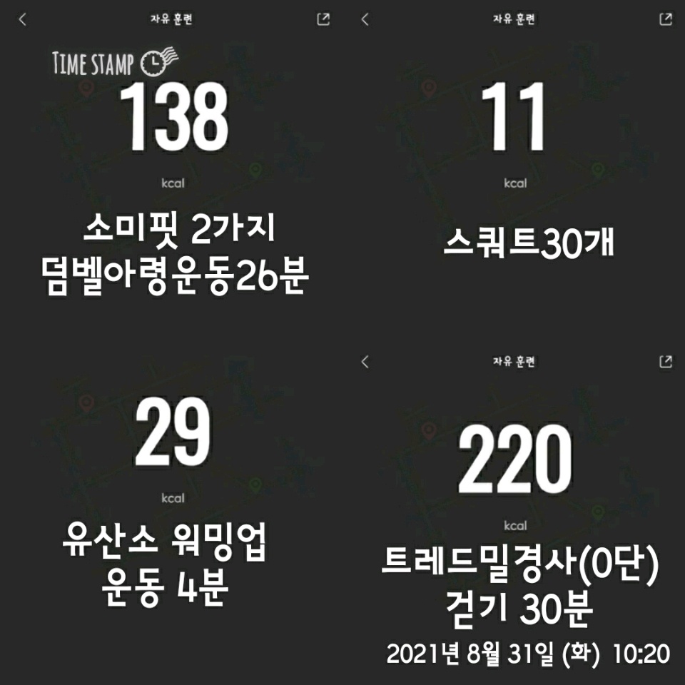 08월 31일(오늘운동 401kcal)