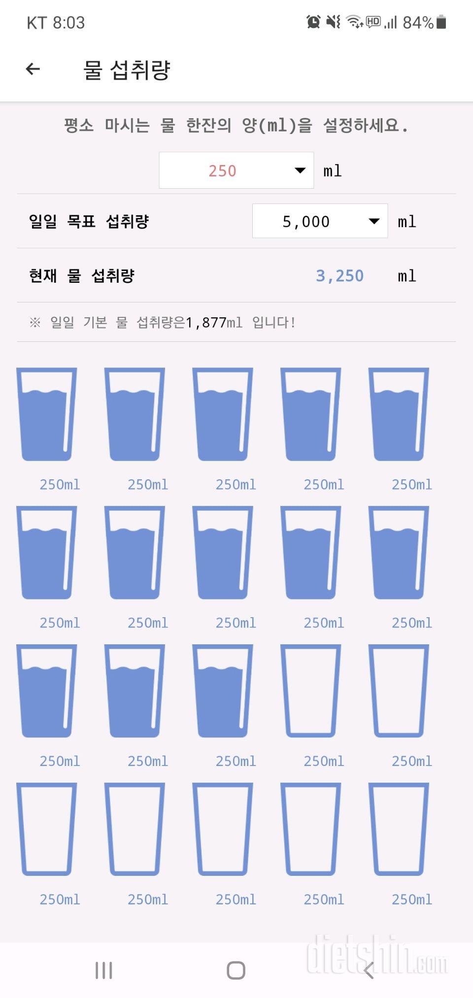 30일 하루 2L 물마시기 5일차 성공!