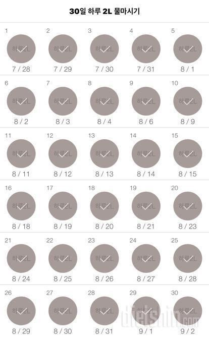 30일 하루 2L 물마시기 30일차 성공!