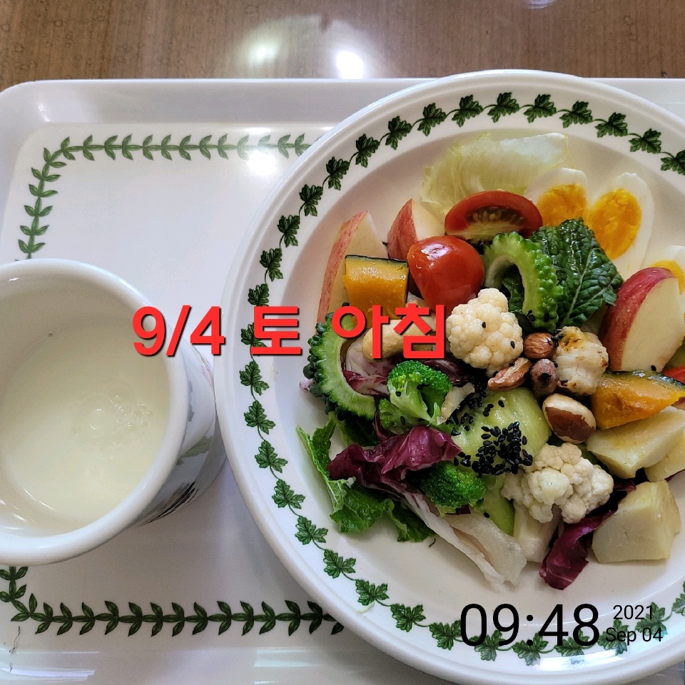 09월 04일( 아침식사 48kcal)