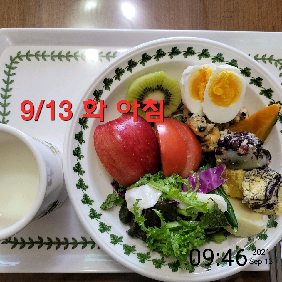 09월 13일( 아침식사 377kcal)