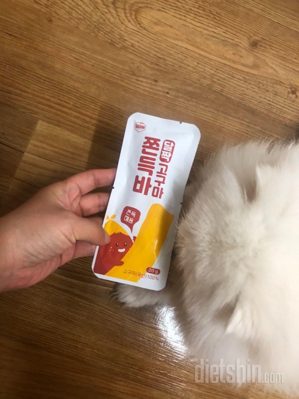 저보다 저희 강아지가 더 좋아해서 양