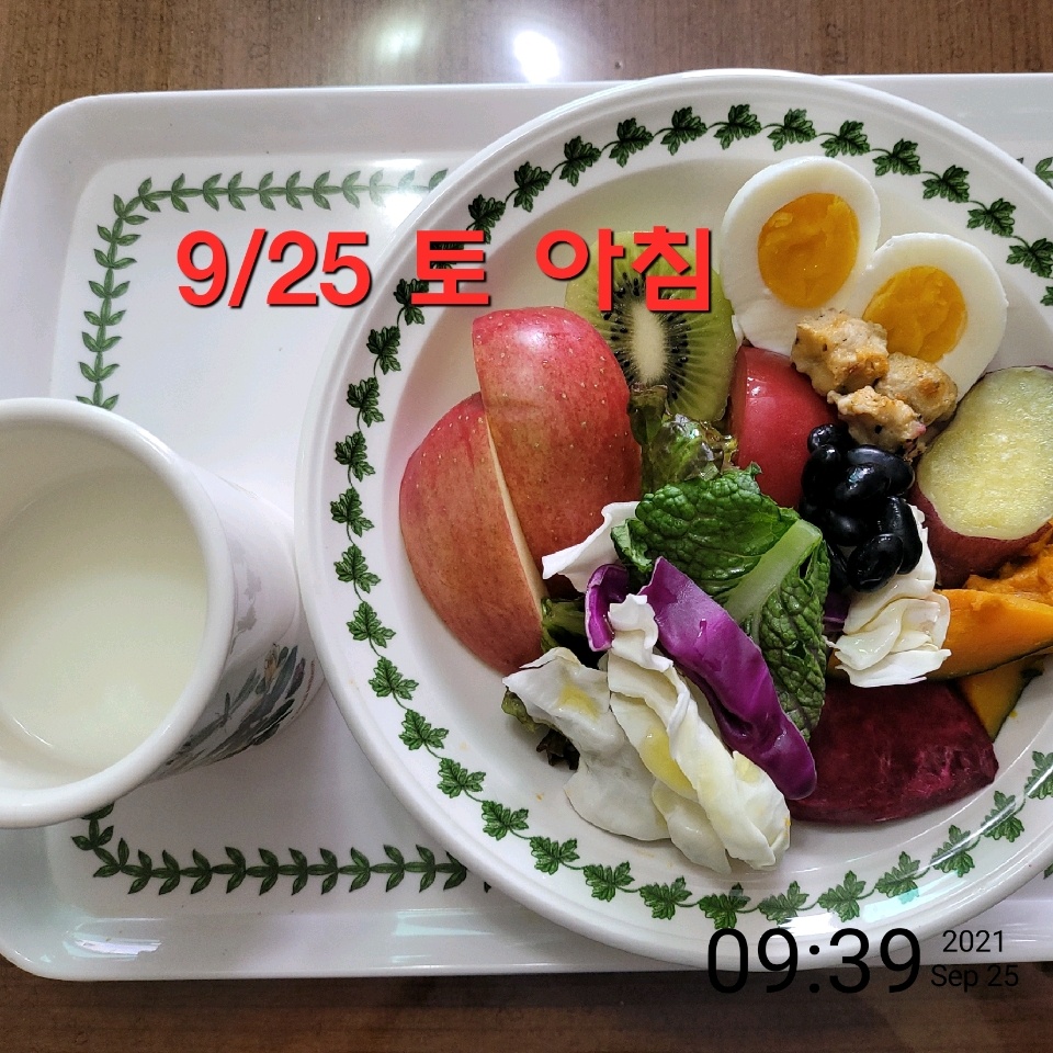 09월 25일( 아침식사 353kcal)