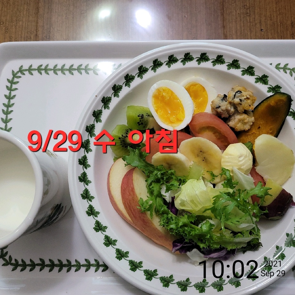 09월 29일( 아침식사 365kcal)