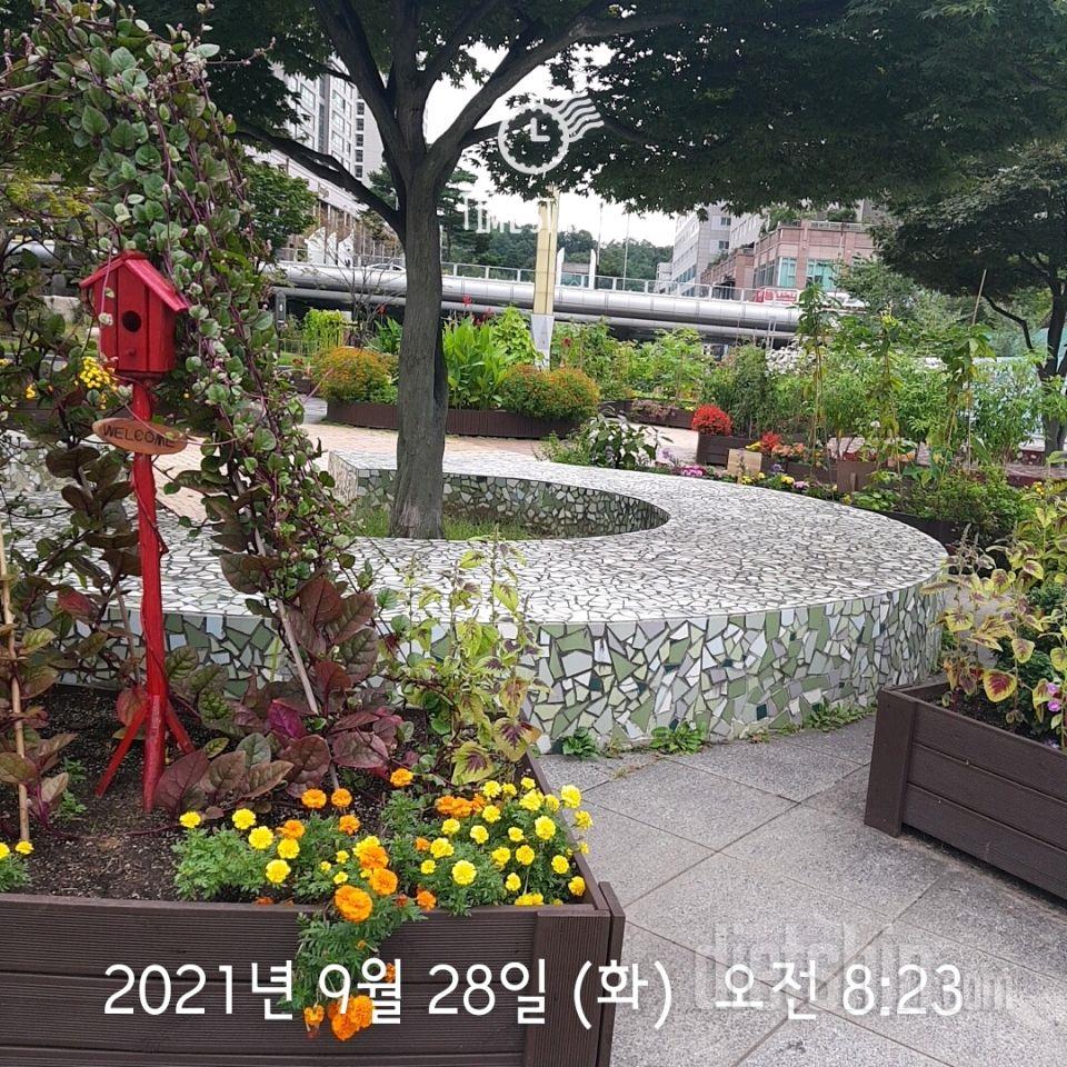 30일 전신운동  226일차 성공!