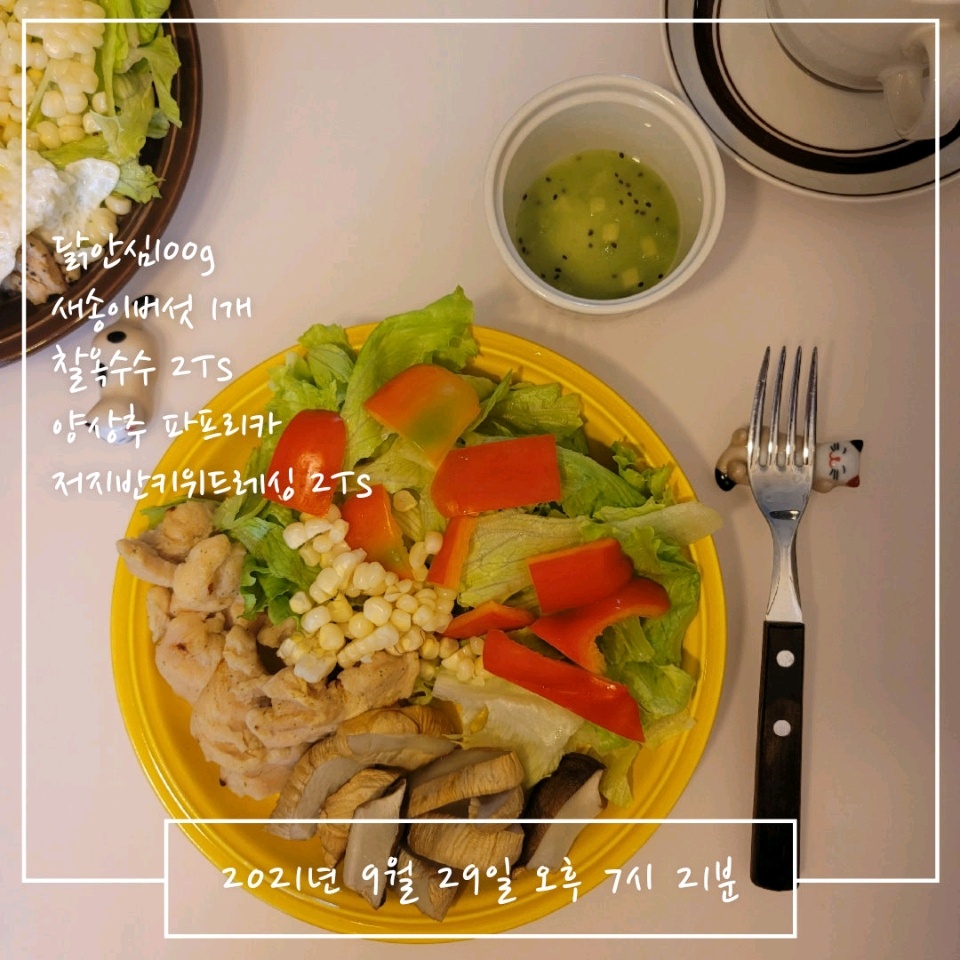 09월 29일( 저녁식사 207kcal)