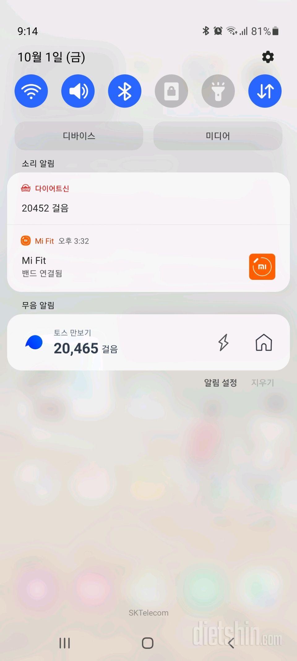 30일 만보 걷기 160일차 성공!