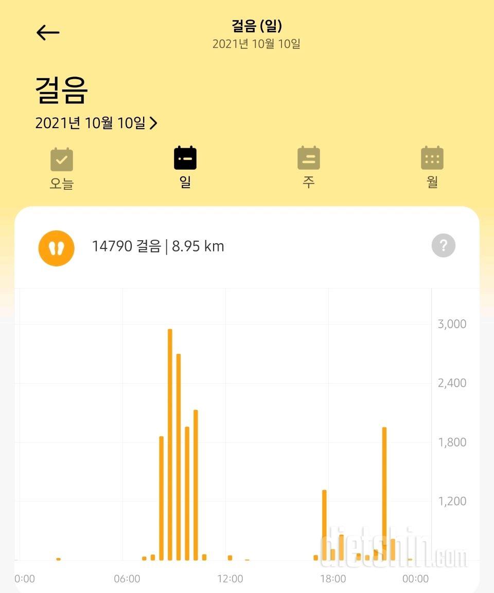 10월 11일 공체/어제일기