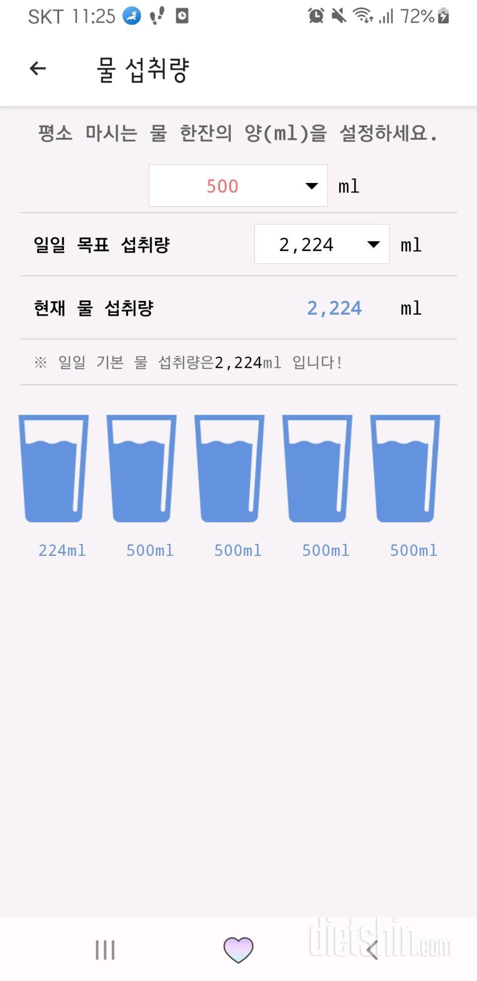 30일 하루 2L 물마시기 13일차 성공!