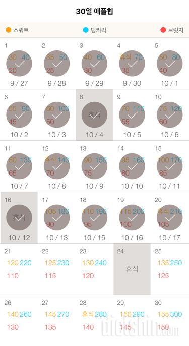 30일 애플힙 20일차 성공!