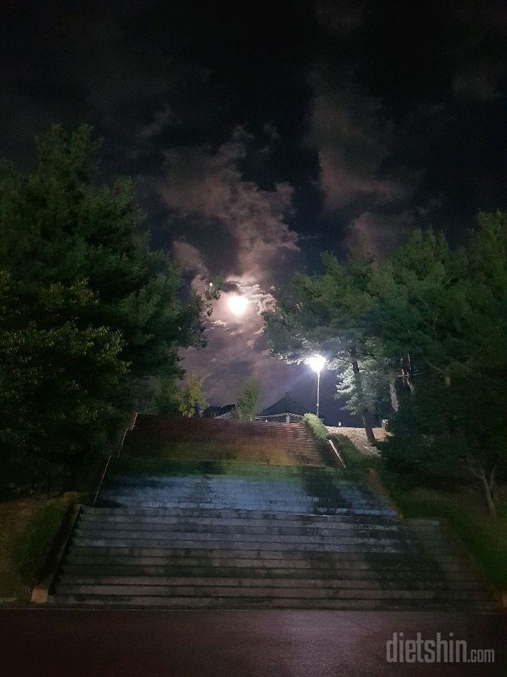 21 저녁 산책했어요👍