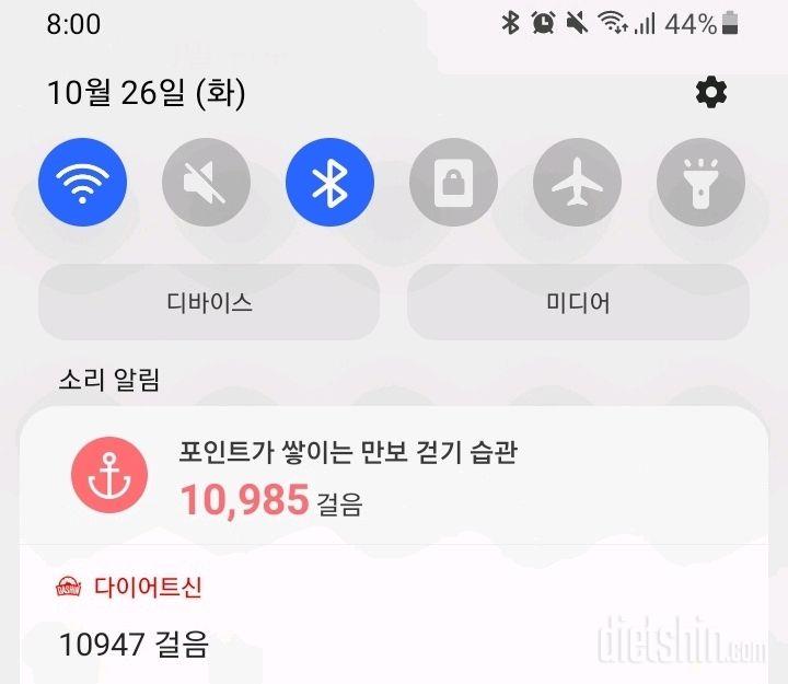 30일 만보 걷기 10일차 성공!