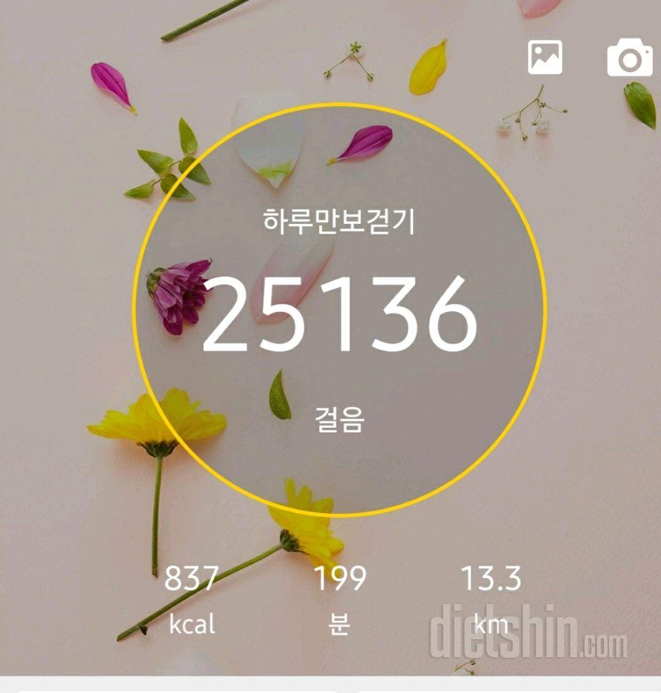 30일 만보 걷기 81일차 성공!