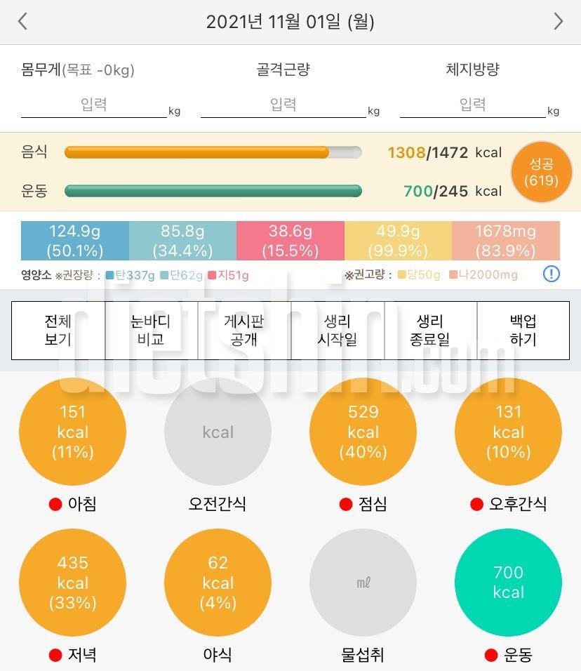 11월1일 월 기록