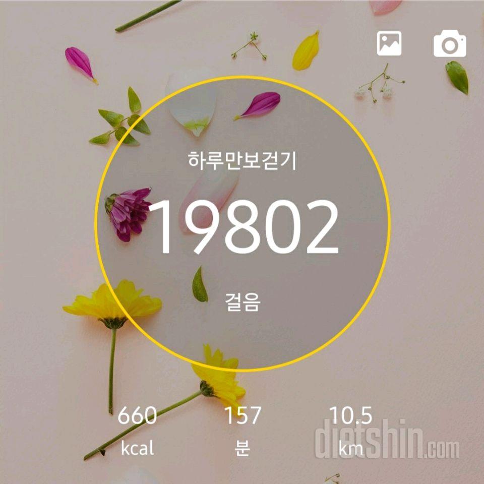 30일 만보 걷기 93일차 성공!