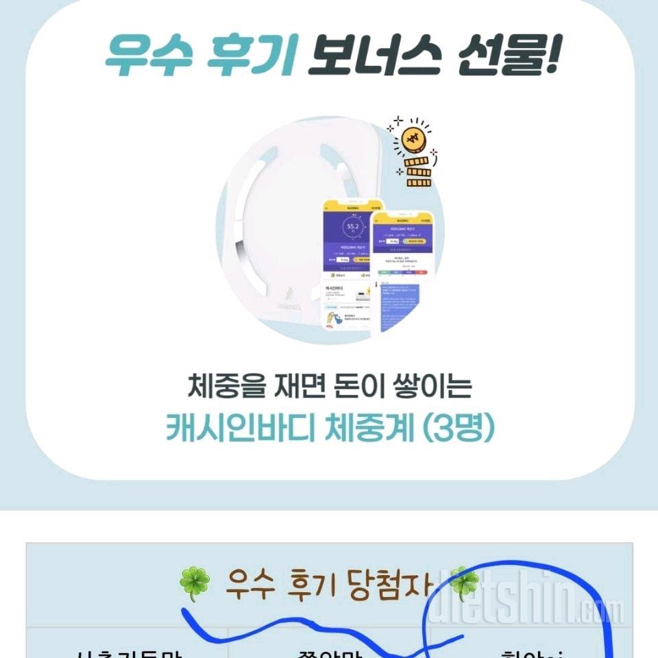 11월 12일 금요일