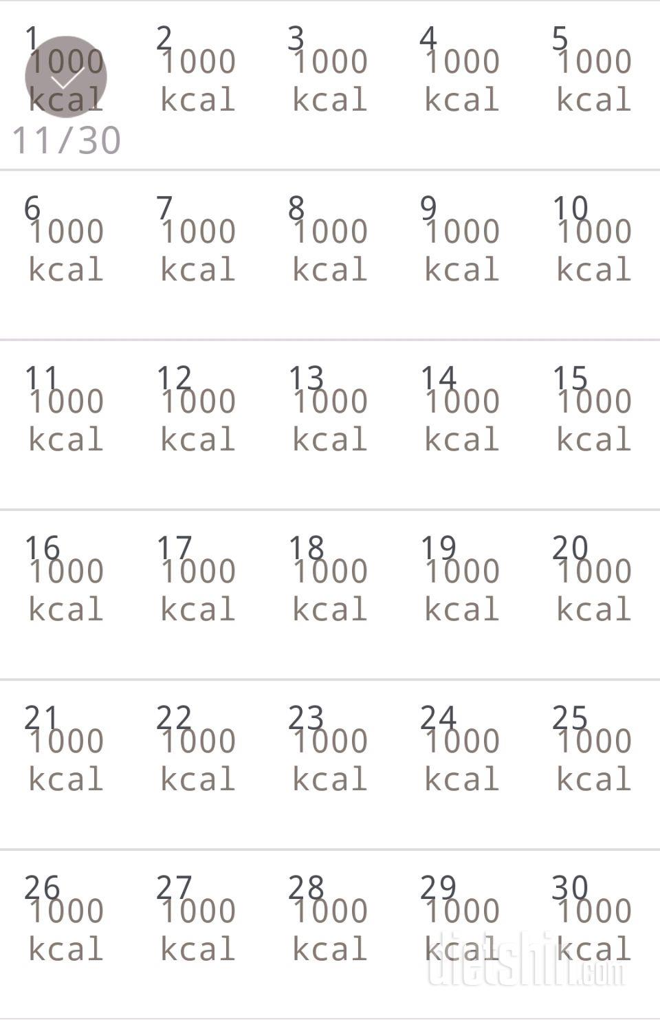 30일 1,000kcal 식단 1일차 성공!