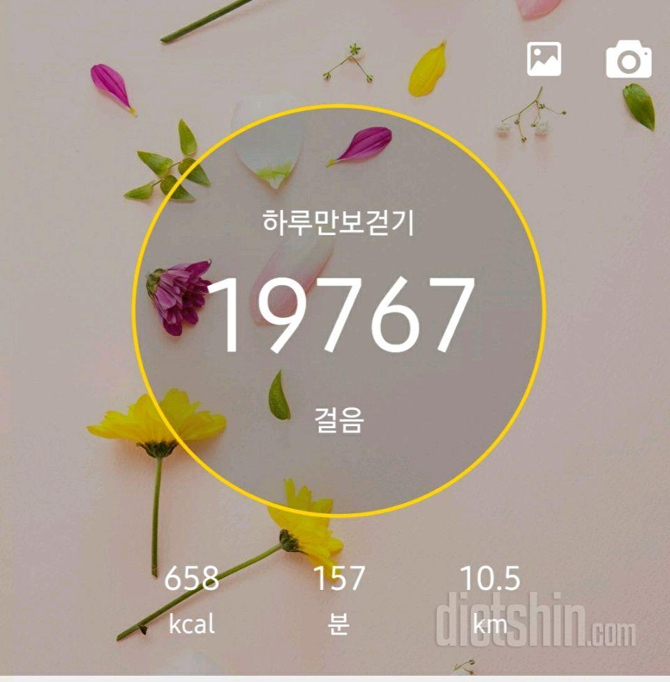 30일 만보 걷기 119일차 성공!