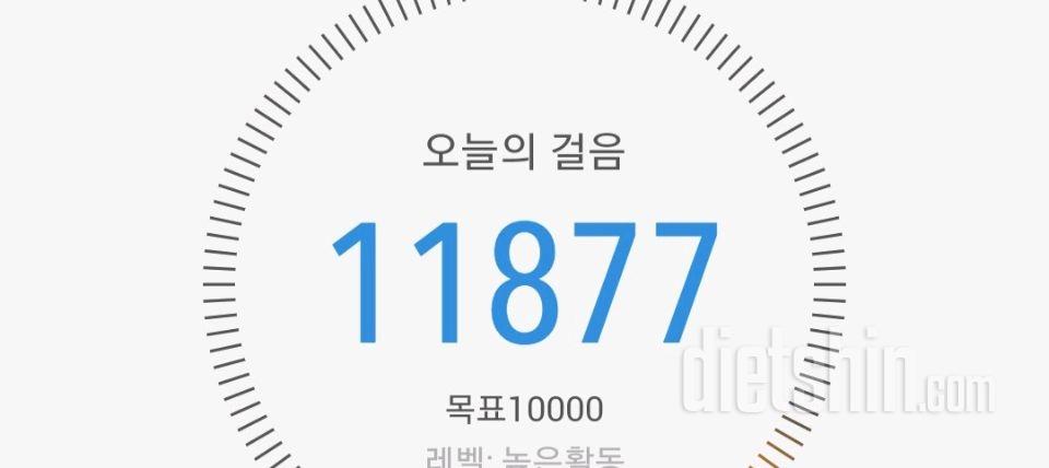 30일 만보 걷기 60일차 성공!