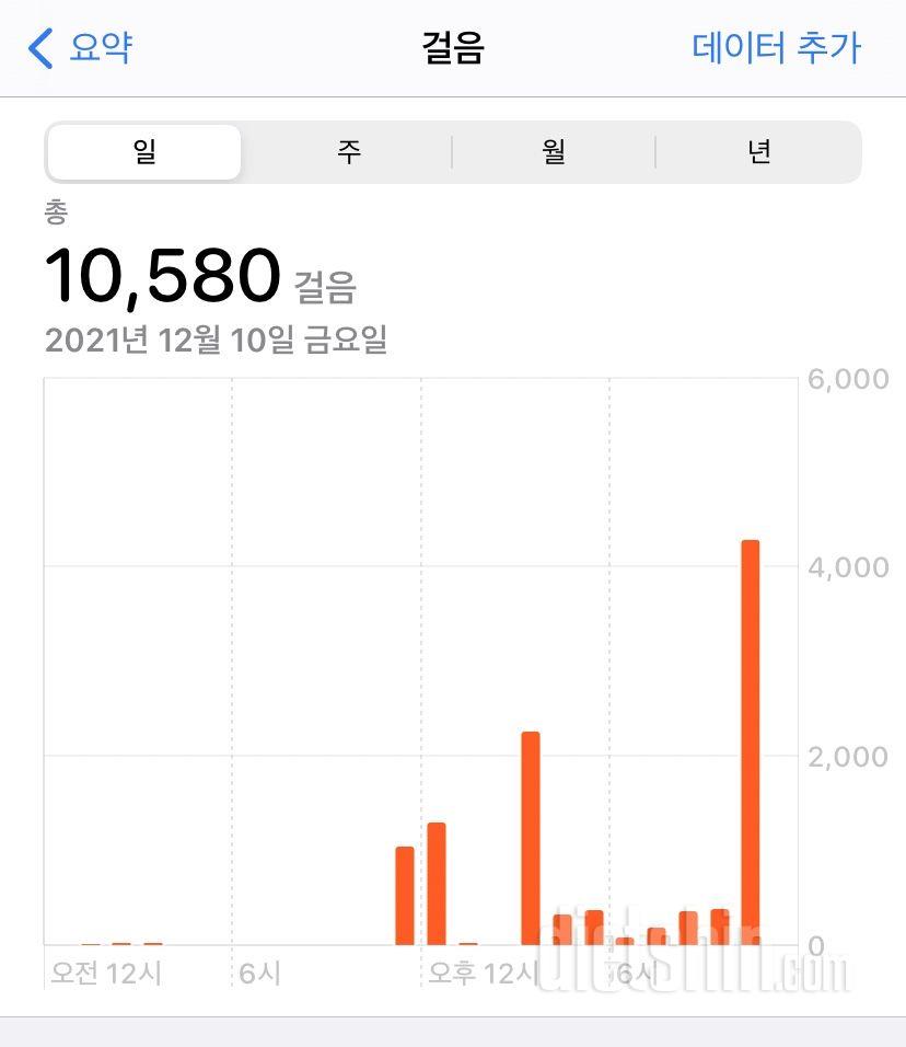 12월 24일(운동 584kcal)