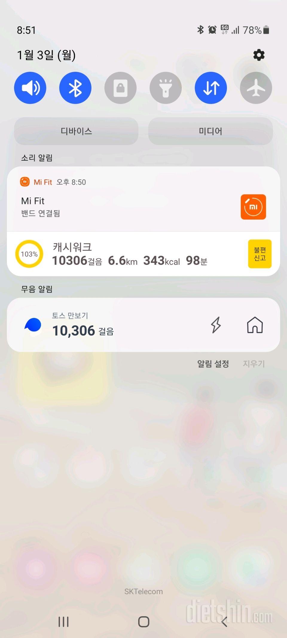 30일 만보 걷기 250일차 성공!