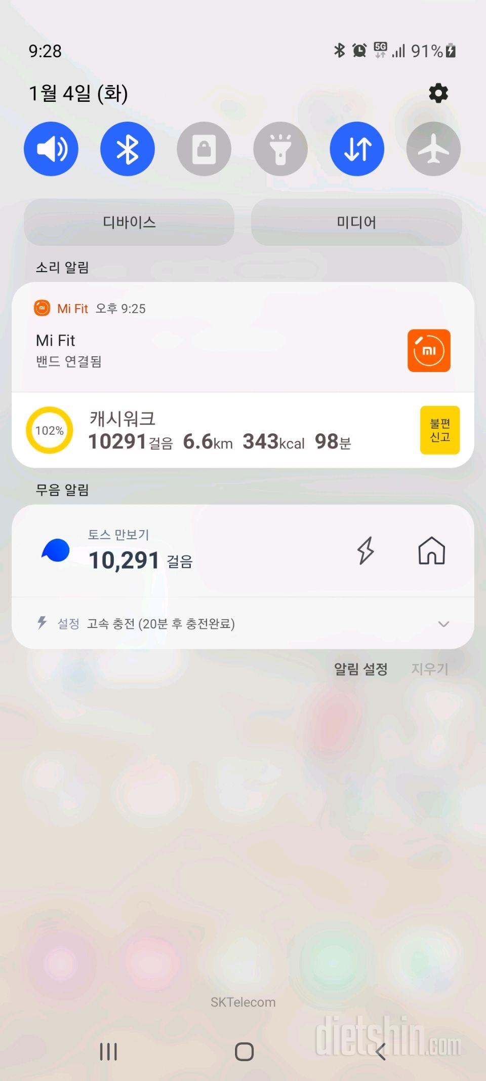 30일 만보 걷기 251일차 성공!