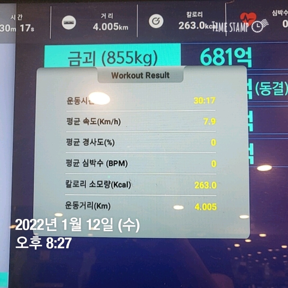 01월 12일( 운동 494kcal)